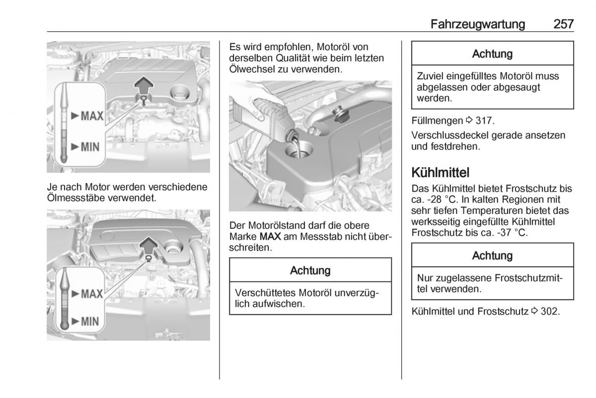 Opel Insignia B Handbuch / page 259