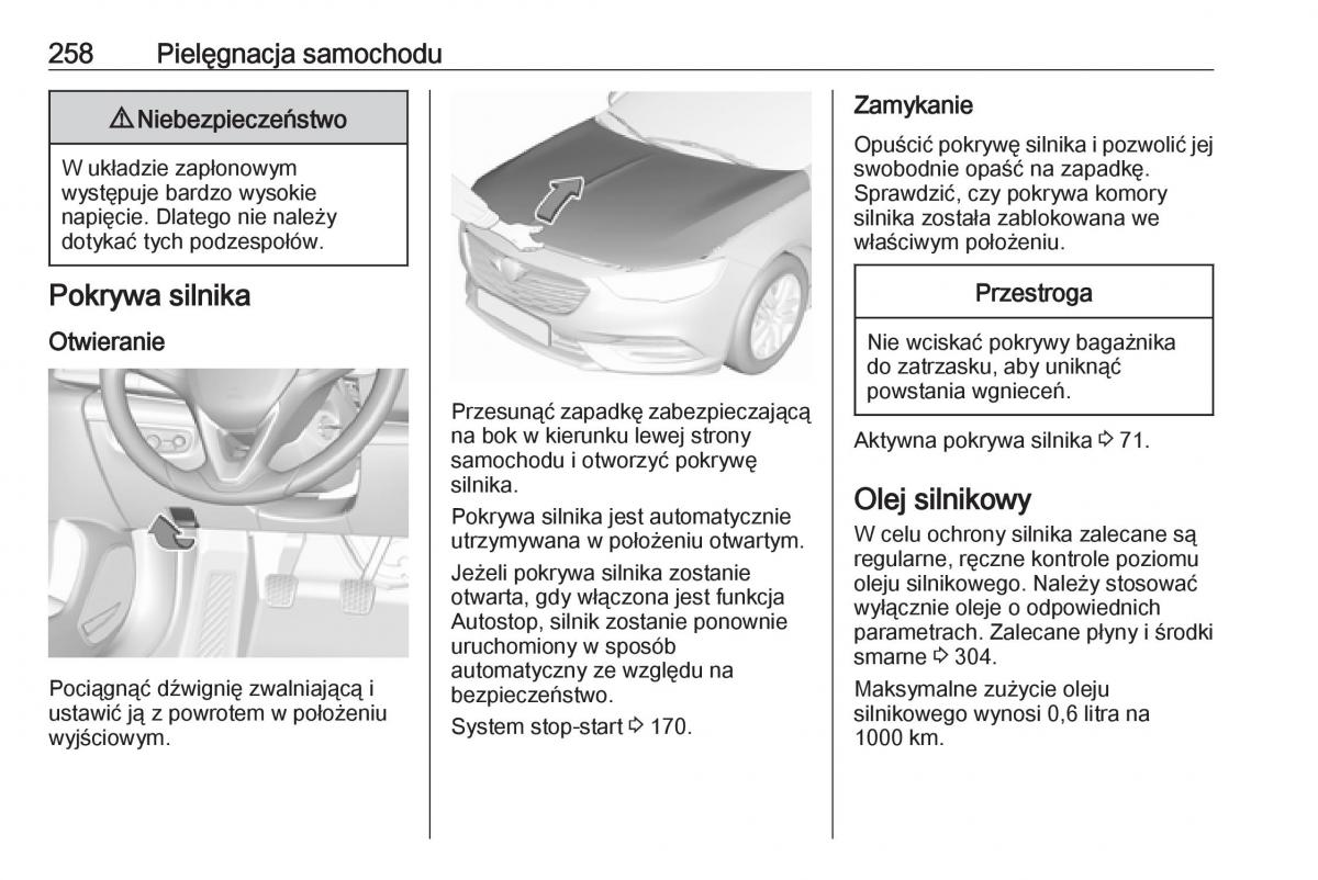 Opel Insignia B instrukcja obslugi / page 260