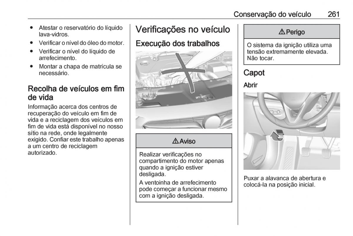 Opel Insignia B manual del propietario / page 263