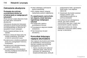 Opel-Insignia-instrukcja-obslugi page 115 min