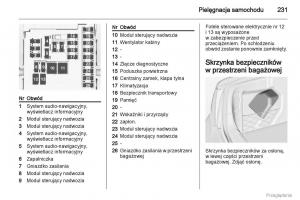 Opel-Insignia-instrukcja-obslugi page 232 min