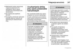 Opel-Insignia-instrukcja-obslugi page 248 min