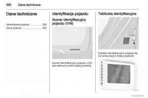 Opel-Insignia-instrukcja-obslugi page 261 min