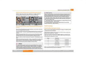 Skoda-Octavia-II-instrukcja-obslugi page 102 min