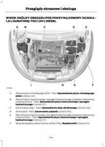 Ford-Fiesta-VII-instrukcja-obslugi page 146 min