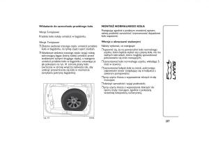 Fiat-500L-instrukcja-obslugi page 341 min