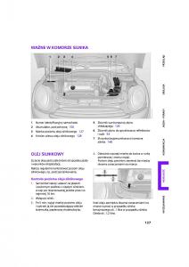 Mini-One-Cooper-Cabrio-instrukcja-obslugi page 129 min