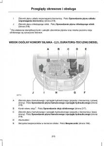 Ford-S-Max-I-1-instrukcja-obslugi page 217 min