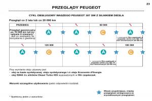 manual--Peugeot-307-SW-instrukcja page 20 min