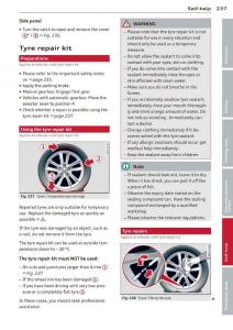 Audi-A3-S3-III-owners-manual page 239 min