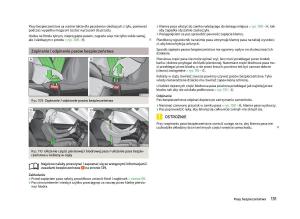 Skoda-Fabia-II-2-instrukcja-obslugi page 134 min