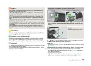 Skoda-Fabia-II-2-instrukcja-obslugi page 166 min