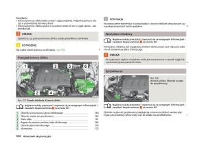 Skoda-Fabia-II-2-instrukcja-obslugi page 167 min