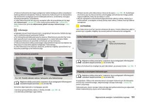 Skoda-Fabia-II-2-instrukcja-obslugi page 196 min