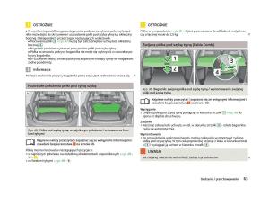 Skoda-Fabia-II-2-instrukcja-obslugi page 66 min