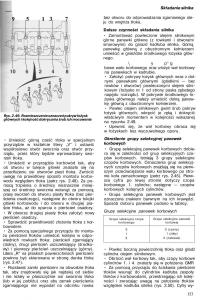 Nissan-Almera-N15-instrukcja-obslugi page 151 min