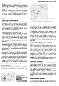 Nissan-Almera-N15-instrukcja-obslugi page 31 min