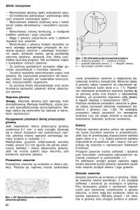 Nissan-Almera-N15-instrukcja-obslugi page 80 min