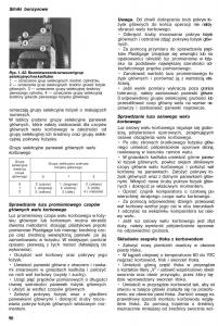 Nissan-Almera-N15-instrukcja-obslugi page 88 min