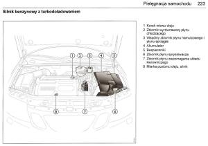 Saab-9-3-II-2-YS3F-instrukcja-obslugi page 225 min