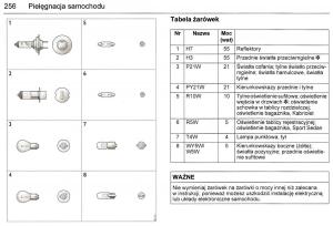 Saab-9-3-II-2-YS3F-instrukcja-obslugi page 258 min