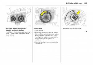 Opel-Vectra-Vauxhall-III-3-owners-manual page 258 min