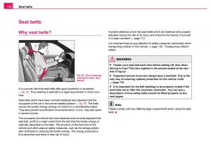 Skoda-Fabia-I-1-owners-manual page 113 min