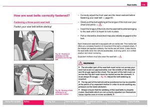 Skoda-Fabia-I-1-owners-manual page 116 min