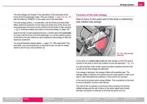 Skoda-Fabia-I-1-owners-manual page 126 min