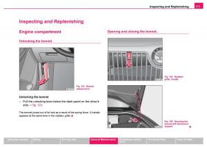 Skoda-Fabia-I-1-owners-manual page 172 min