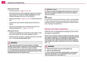 Skoda-Fabia-I-1-owners-manual page 173 min