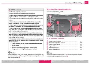 Skoda-Fabia-I-1-owners-manual page 174 min