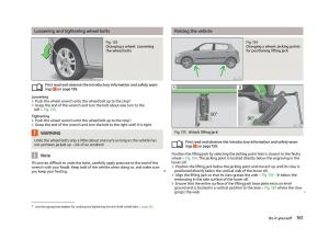 Skoda-Fabia-II-2-owners-manual page 163 min