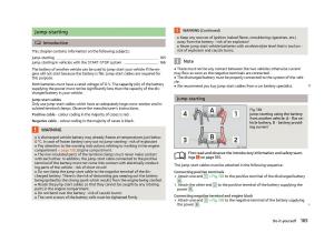 Skoda-Fabia-II-2-owners-manual page 167 min