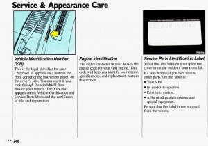 Chevrolet-Cavalier-II-2-owners-manual page 248 min