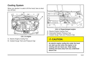 Chevrolet-Cobalt-owners-manual page 249 min