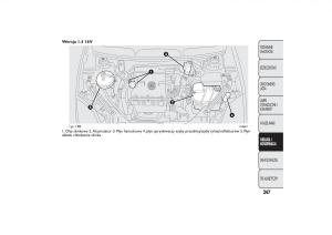 manual-Fiat-Bravo-Fiat-Bravo-II-2-instrukcja page 251 min