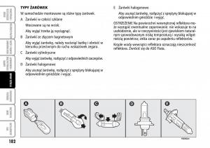 Fiat-Multipla-II-2-instrukcja-obslugi page 183 min