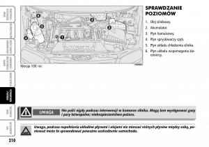 Fiat-Multipla-II-2-instrukcja-obslugi page 211 min