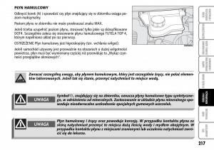 Fiat-Multipla-II-2-instrukcja-obslugi page 218 min