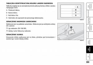 Fiat-Multipla-II-2-instrukcja-obslugi page 234 min