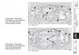 Alfa-Romeo-Brera-Spider-instrukcja-obslugi page 217 min