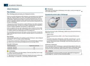 Skoda-Citigo-instrukcja-obslugi page 115 min