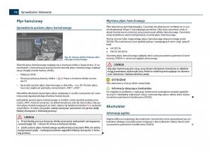 Skoda-Citigo-instrukcja-obslugi page 117 min