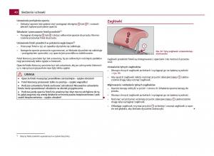 Skoda-Citigo-instrukcja-obslugi page 41 min