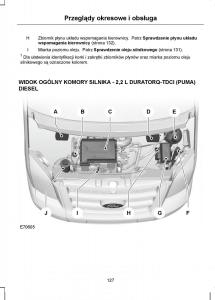 manual--Ford-Transit-VII-7-instrukcja page 129 min