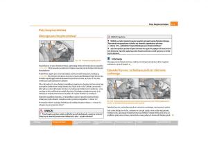 Skoda-Roomster-instrukcja-obslugi page 119 min