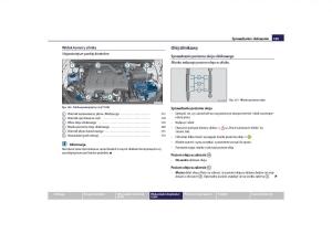 Skoda-Roomster-instrukcja-obslugi page 171 min