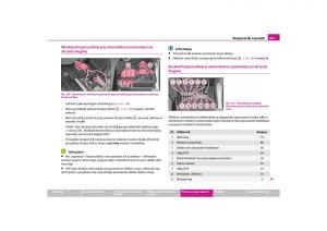 Skoda-Roomster-instrukcja-obslugi page 203 min