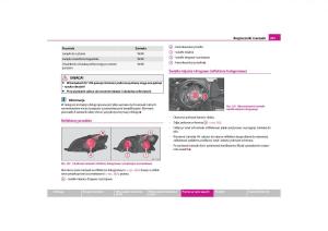 Skoda-Roomster-instrukcja-obslugi page 205 min